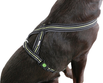 Reflekterande hundsele "Xenos"