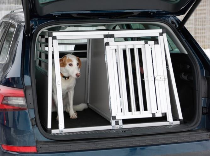 Alu-Transportbur Barry 2-dörr