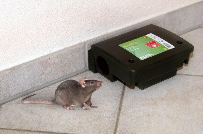 Betesstation för råttgift, Beta