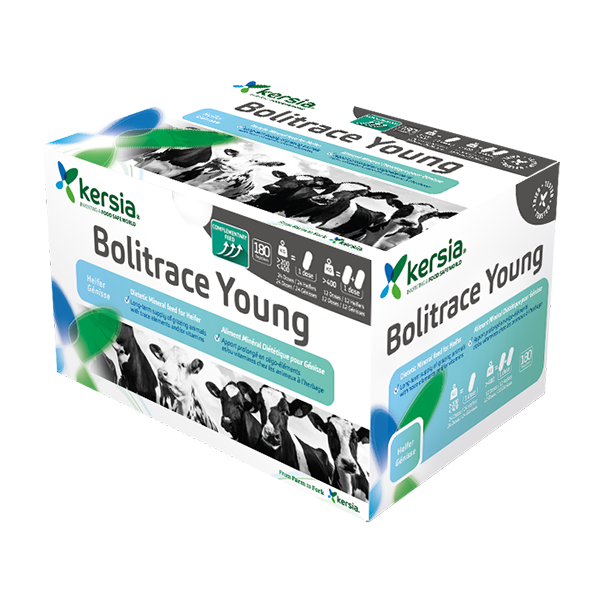 Kersia Bolitrace Young bolus för kvigor och unga nötkreatur