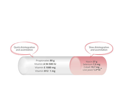 Energy Booster Bolus  – Energitillskott med vit A/E & selen (4-pack)
