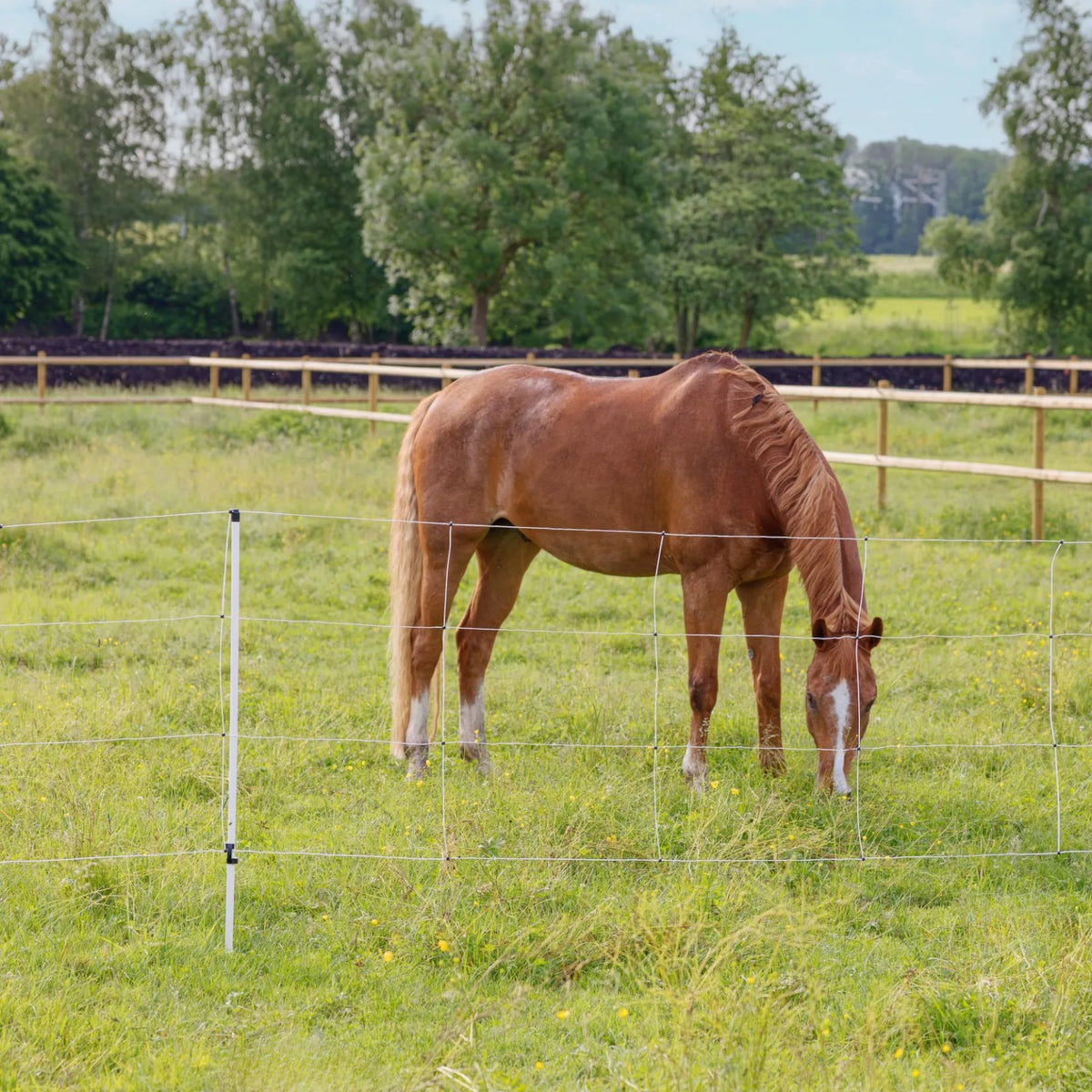 Mobilt elnät för häst 120 cm - 30 m med dubbelspets