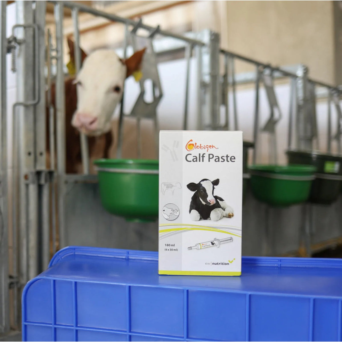 Globigen Calf Paste 30 ml, 6-pack – Startpasta för nyfödda kalvar