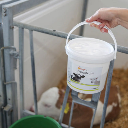 Globigen Colostrum – Råmjölksförstärkare med naturliga immunglobuliner