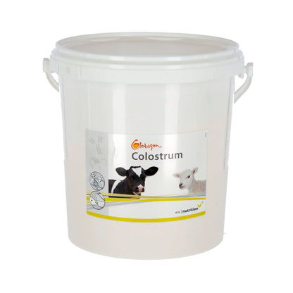 Globigen Colostrum – Råmjölksförstärkare med naturliga immunglobuliner