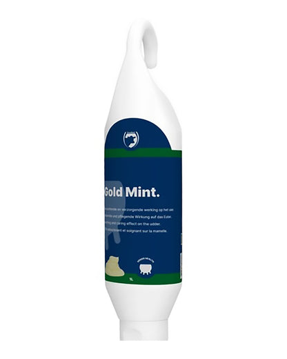 Gold Mint pepparmint salva
