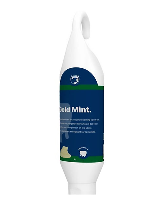Gold Mint pepparmint salva