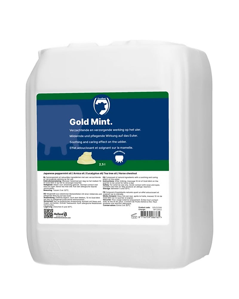 Gold Mint pepparmint salva