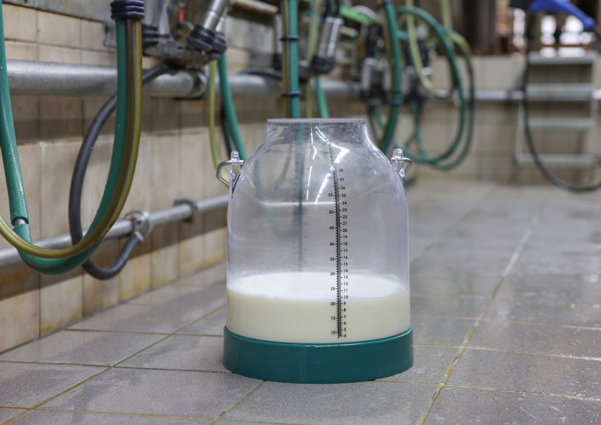 Muovinen maitoastia, 30L