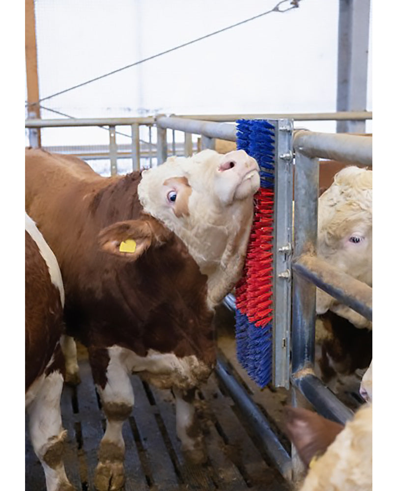 Reservborste Happy Cow Bully