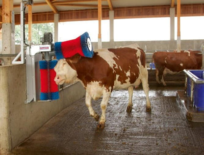 Ryktborste Happy Cow Duo