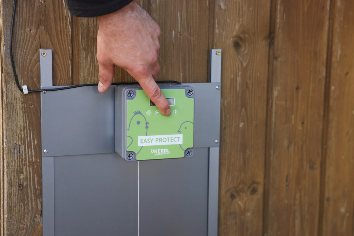 Automatisk hönslucka komplettset