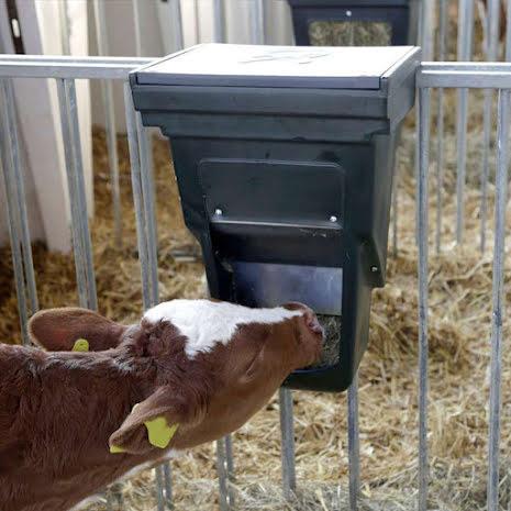Kraftfoderlåda för Kalvstallar, 13 L