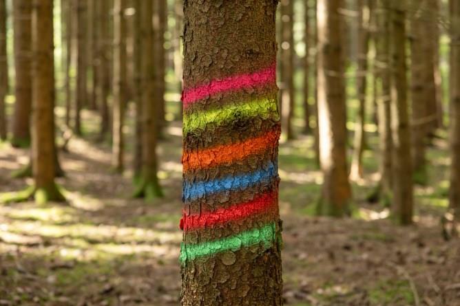 Markeringsfärg Skog 500 ml