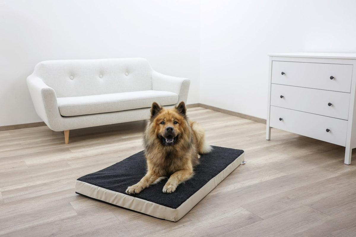Hundmadrass Memory-Foam