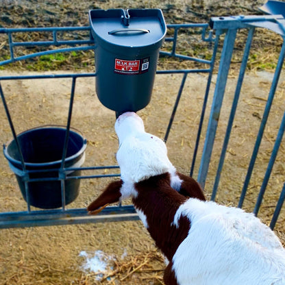 Milk Bar 1, 3 liter - Napphink med lock för kalv