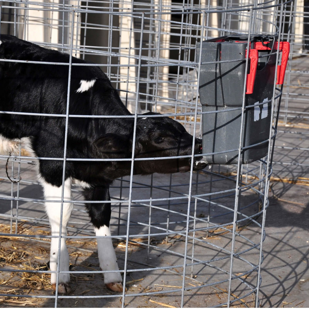 Milk Bar 1 Ezi Lock indvendig
