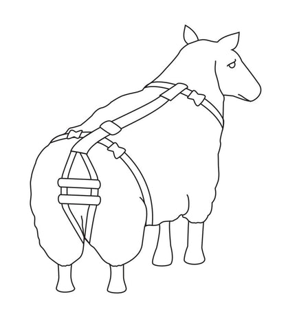 Faldsikringssele 