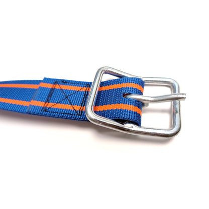 Transponerhalsrem Blå-orange 40 mm