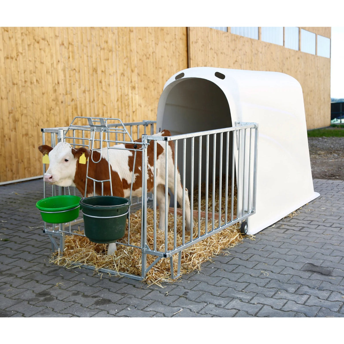 CalfHouse Premium Plus - Större kalvhydda med extra höjd och stabilitet