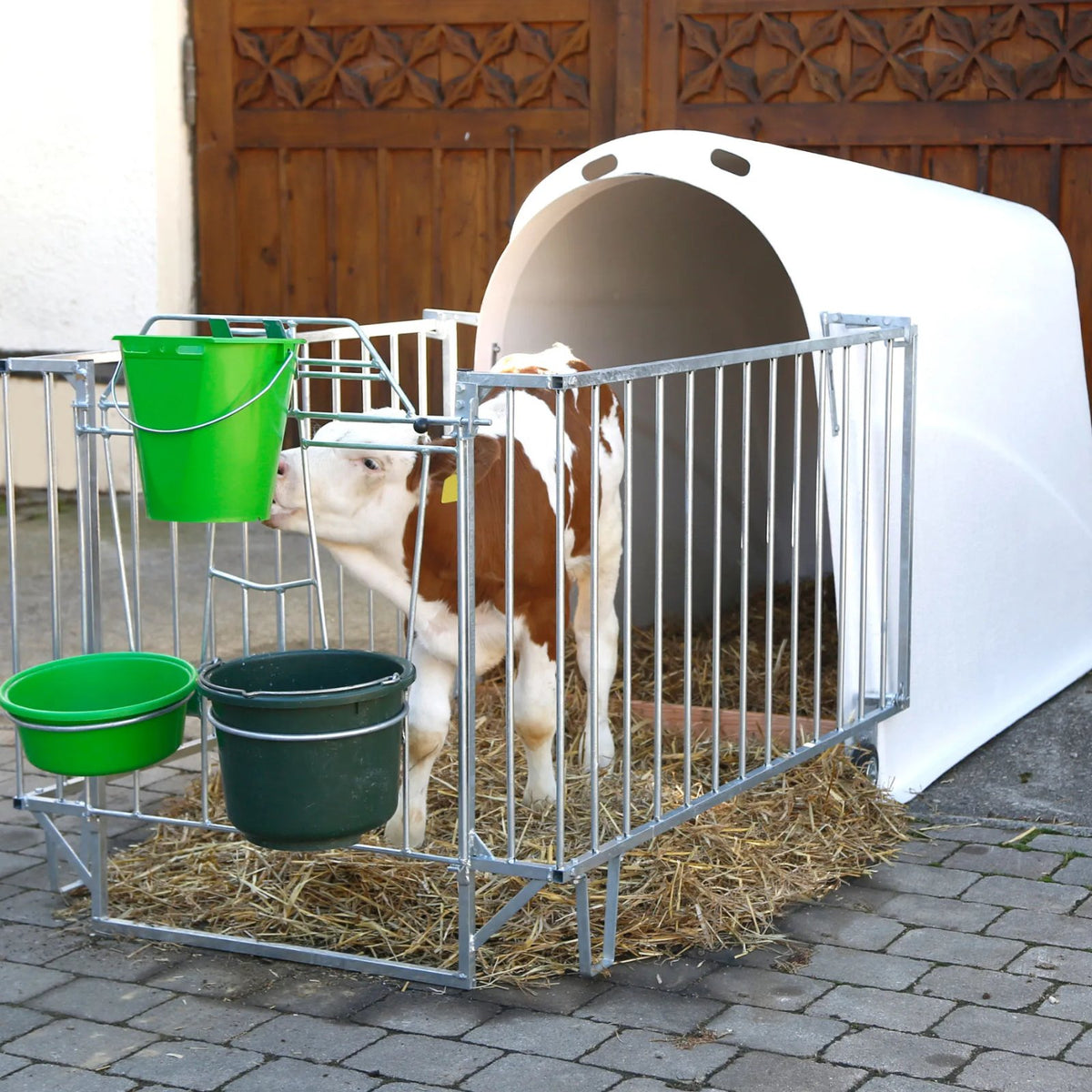 CalfHouse Master Plus - beprövad kalvhydda med god komfort och ventilation