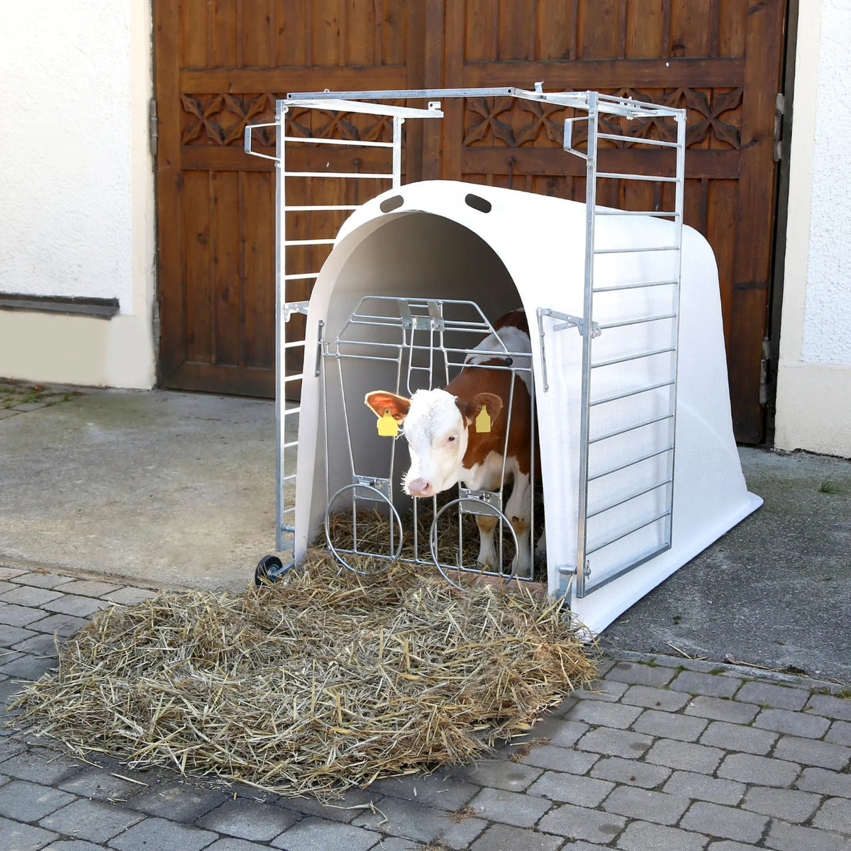 CalfHouse Master Plus - beprövad kalvhydda med god komfort och ventilation