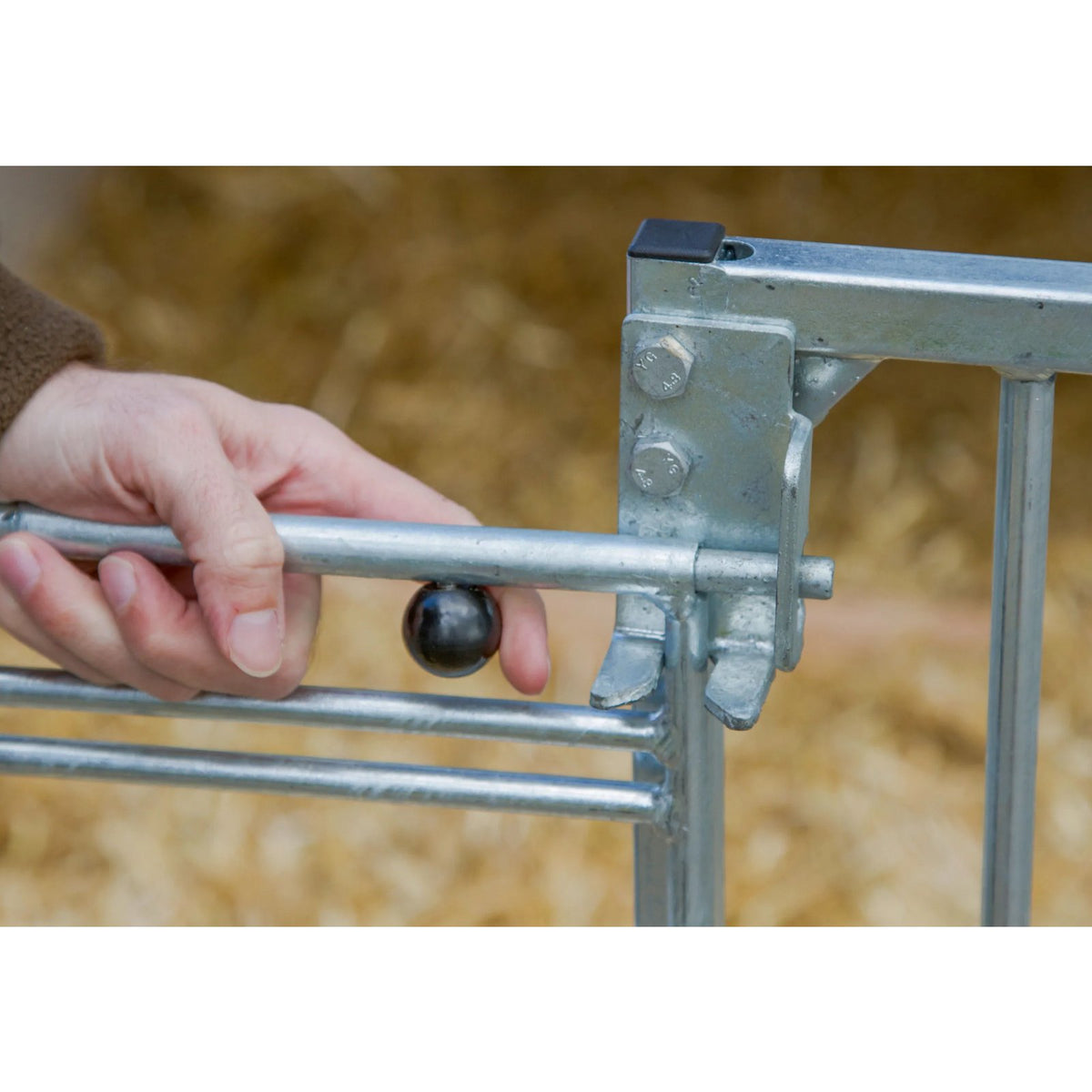 CalfHouse Master Plus - beprövad kalvhydda med god komfort och ventilation