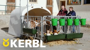 CalfHouse Premium XL - Stor kalvhydda för upp till 5 kalvar