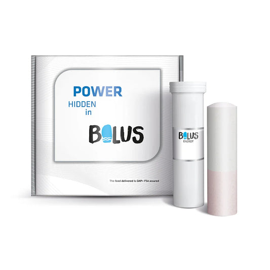 Energy Booster Bolus  – Energitillskott med vit A/E & selen (4-pack)