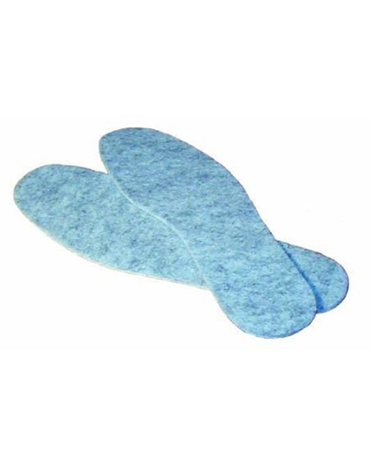 Filtsula